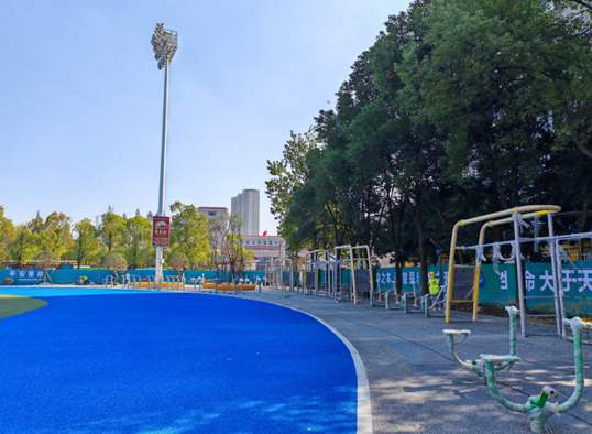 1702396414206630.png image.png