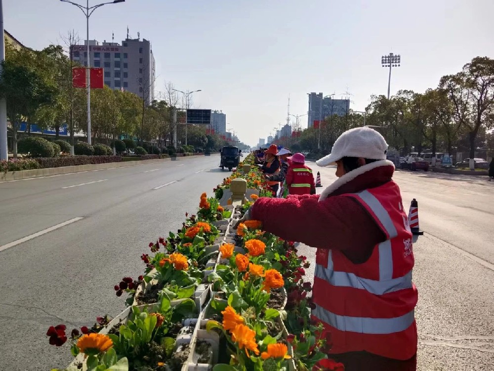 百花盛放迎元旦 绿化造景添花衣