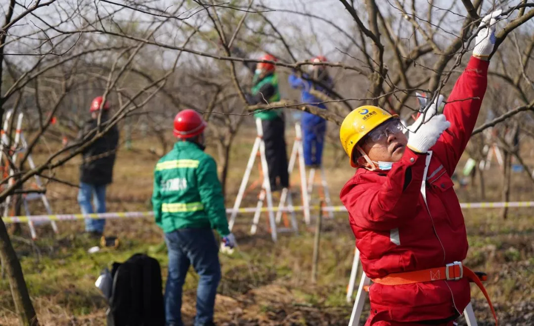 1712884851104500.jpg 1712884851104500.jpg