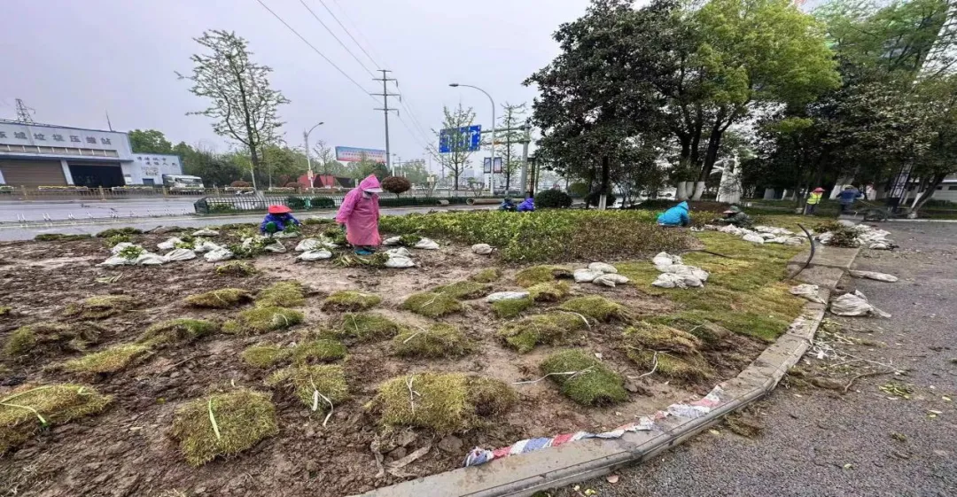 1713322141253517.jpg 1713322141253517.jpg