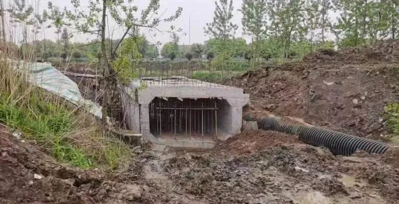 1713322397141571.jpg 1713322397141571.jpg