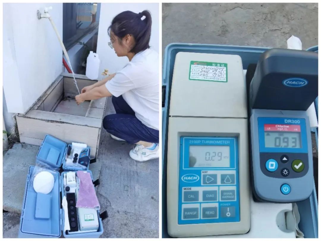 1729218717856896.jpg 640 (3).jpg