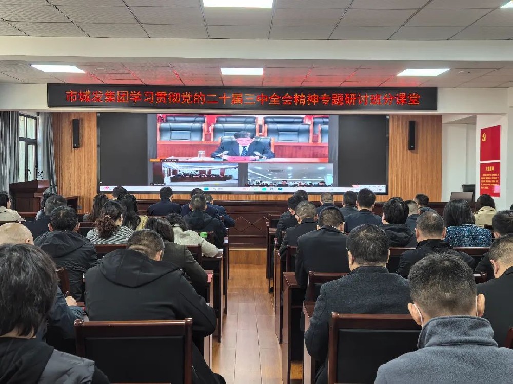 PA视讯官方网站集团开展学习贯彻党的二十届三中全会精神专题研讨班分课堂活动