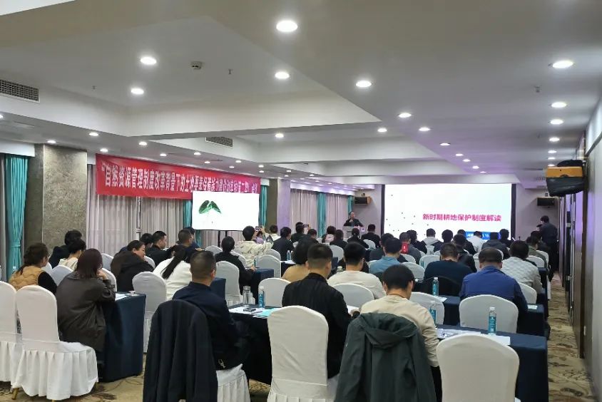 1731029719114632.jpg 640 (6).jpg