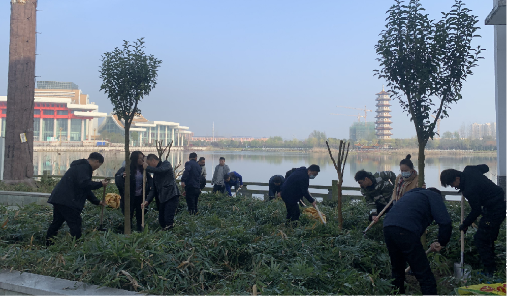 市晟源公司、城联公司联合开展义务植树活动