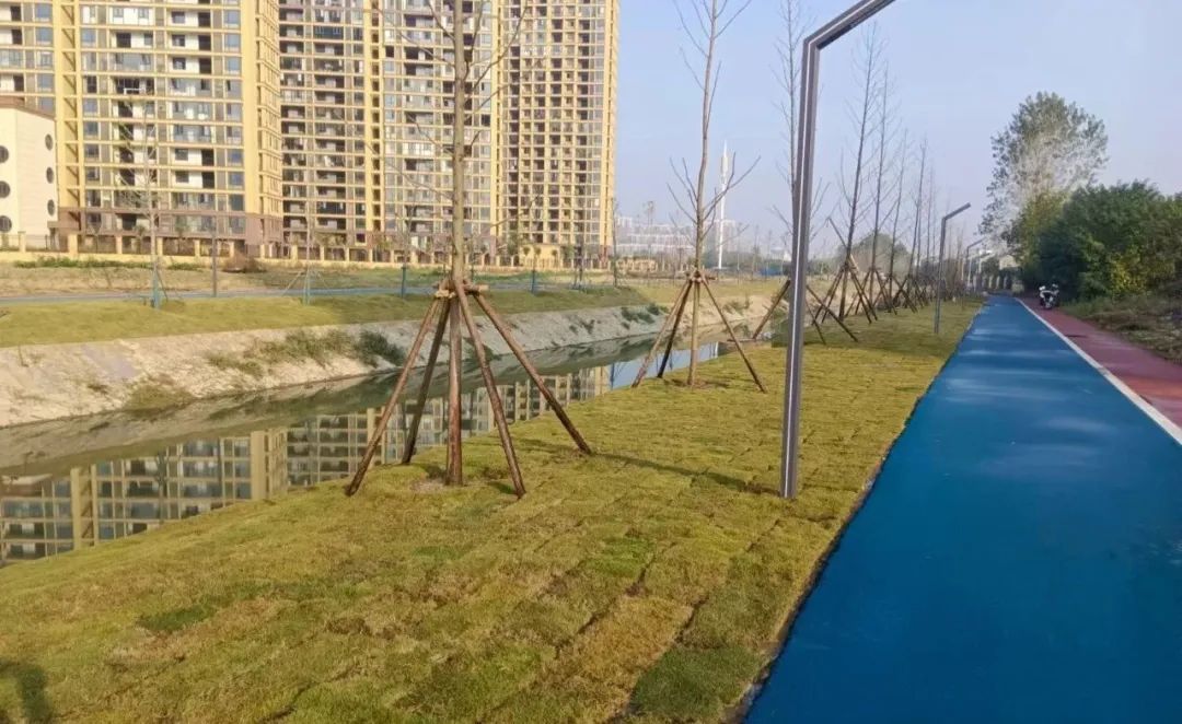 1732153579917880.jpg 640 (8).jpg